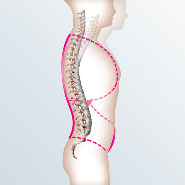 Spinomed V Osteoporosis spinal orthosis back brace
